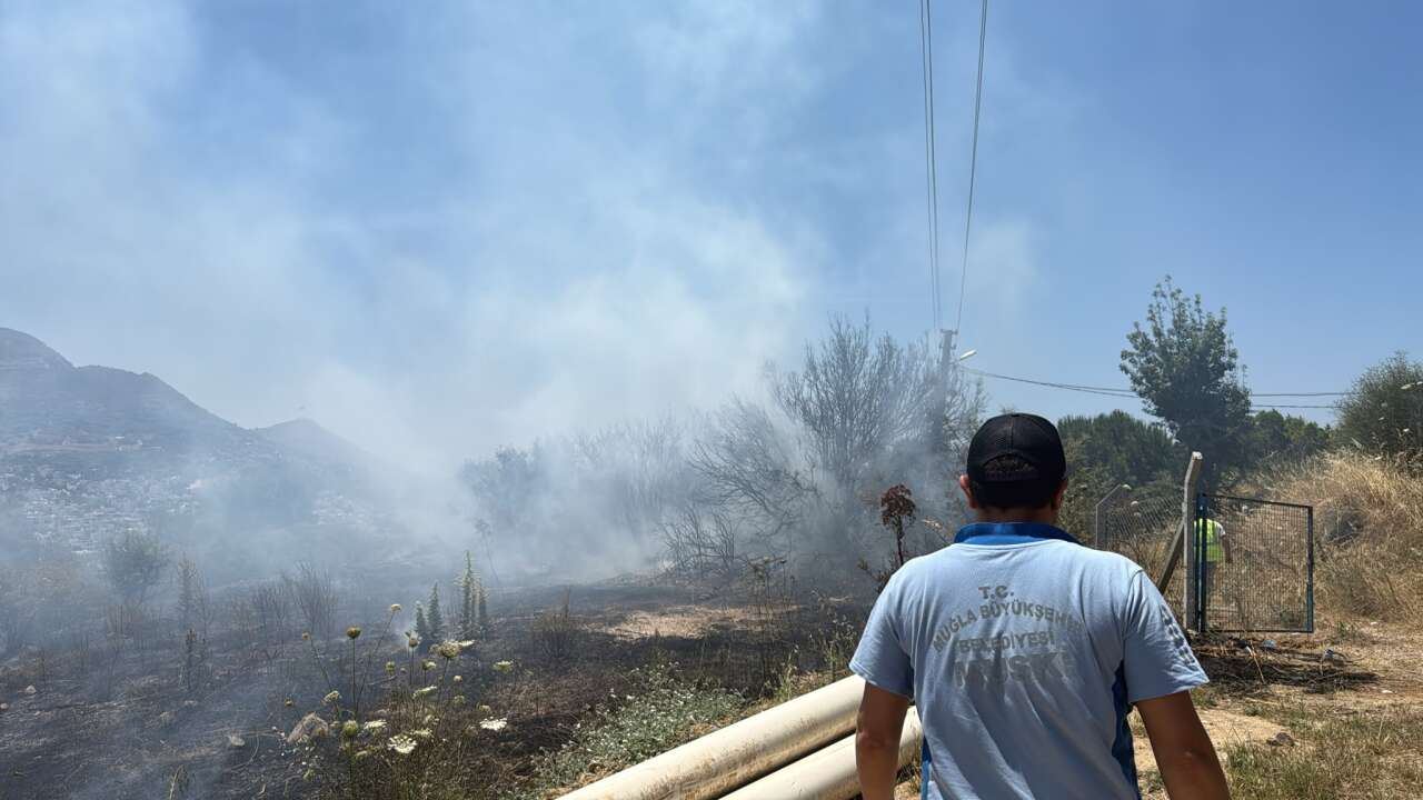 Bodrum’da Makilik Alanda Yangın: Ekipler Alevlere Müdahale Ediyor 3